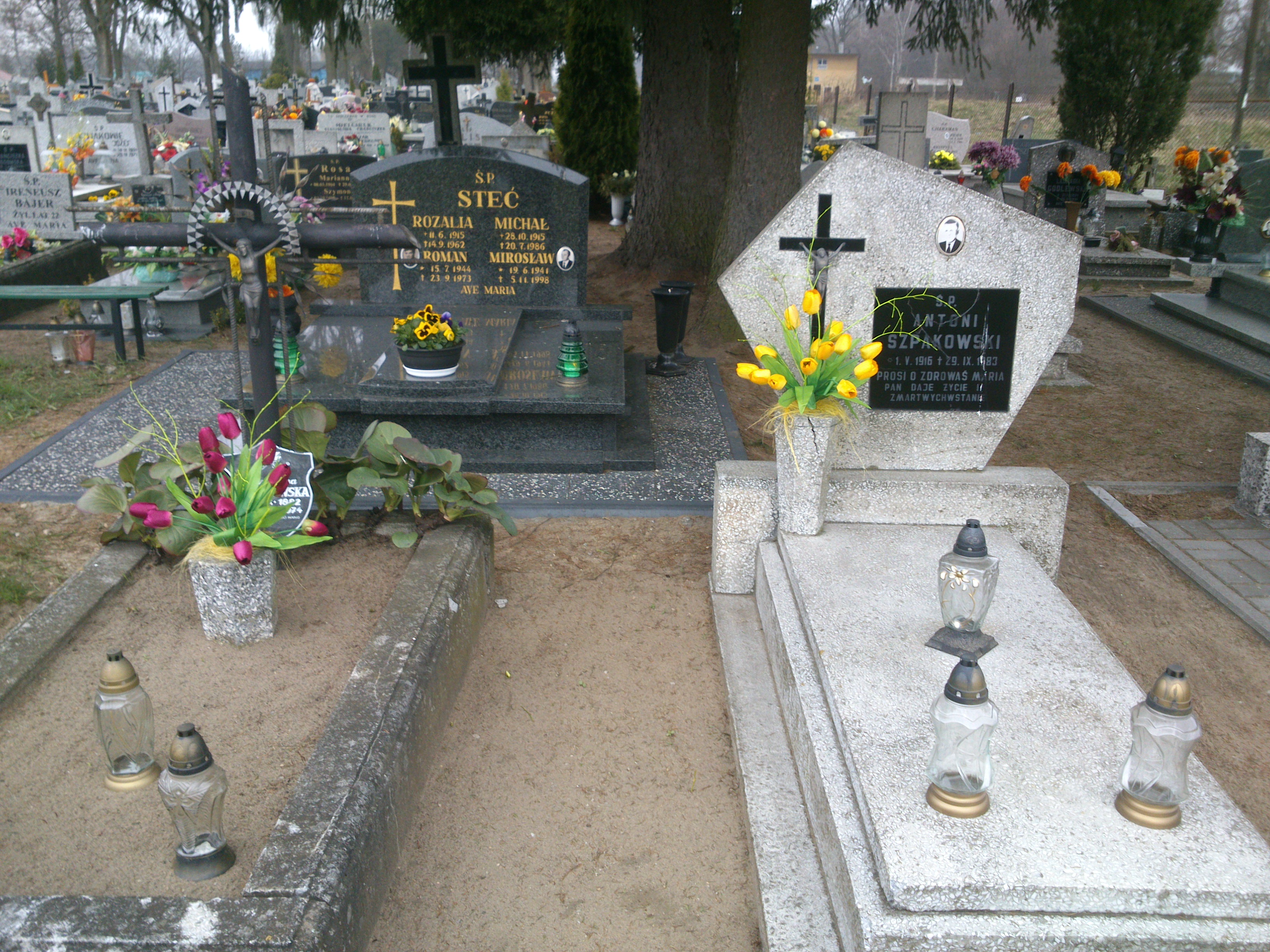 Michał Steć 1915 Czarne - Grobonet - Wyszukiwarka osób pochowanych