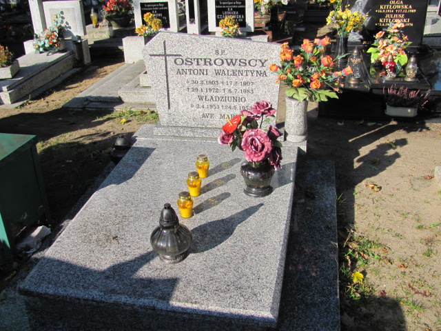 Grób Władysław Ostrowski