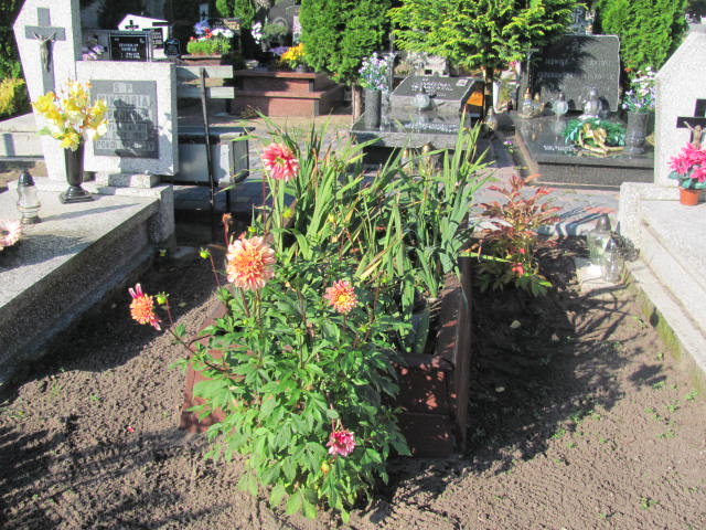  NN Czarne - Grobonet - Wyszukiwarka osób pochowanych