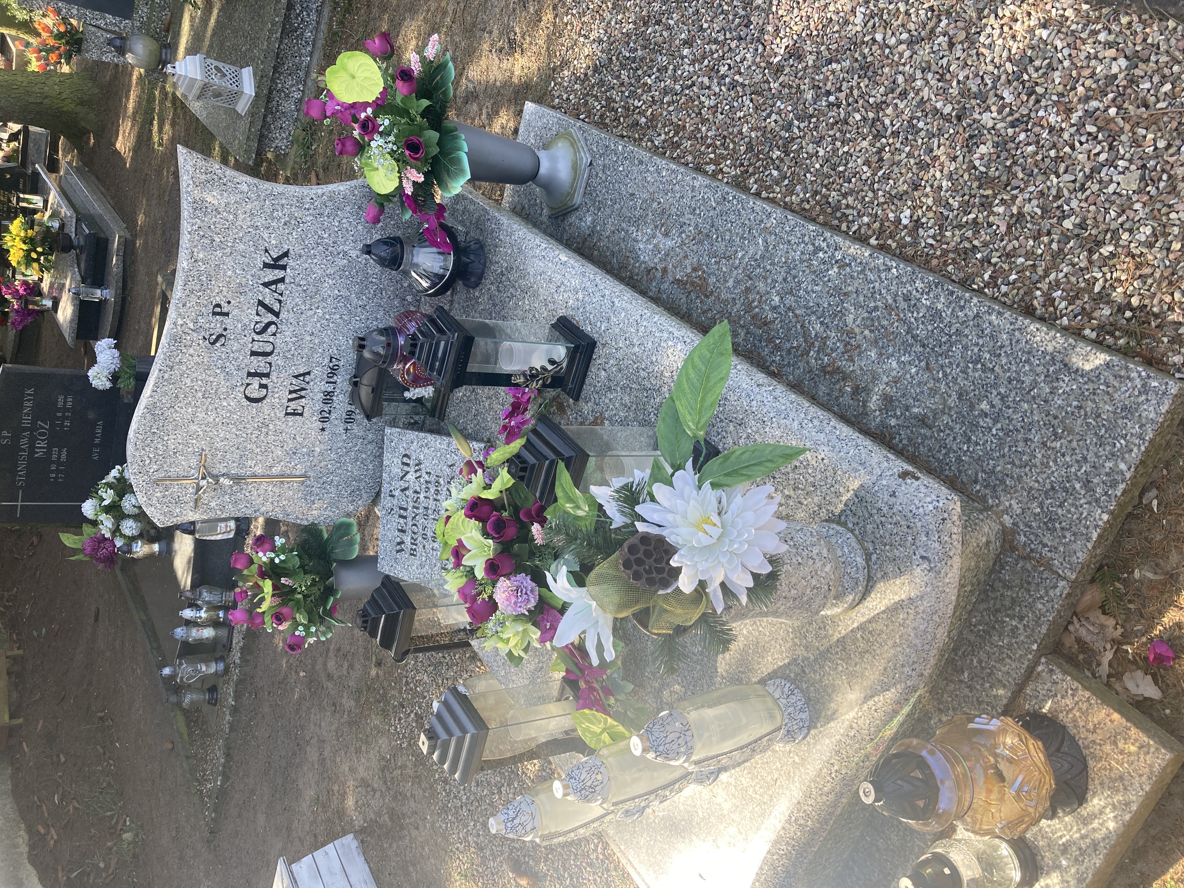 Grób Franciszka Weiland